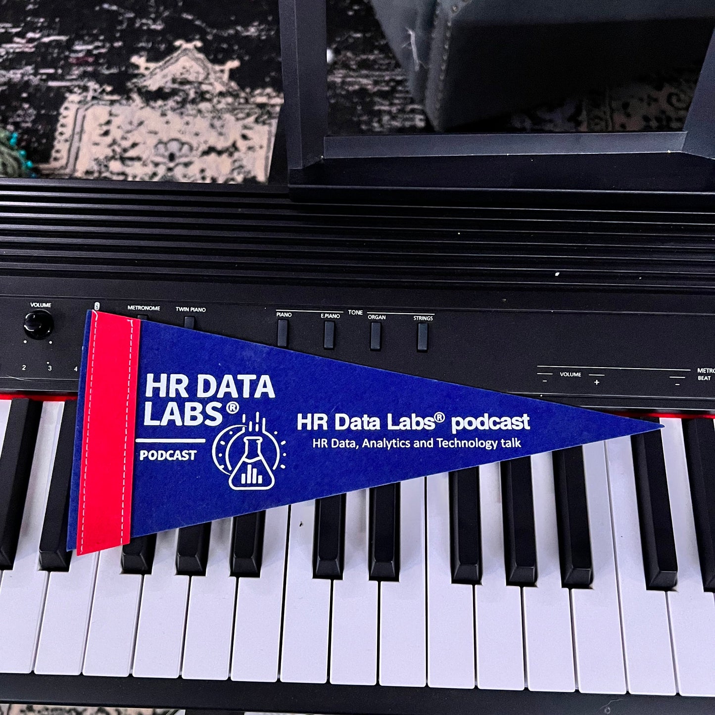 HR Data Labs Pennant