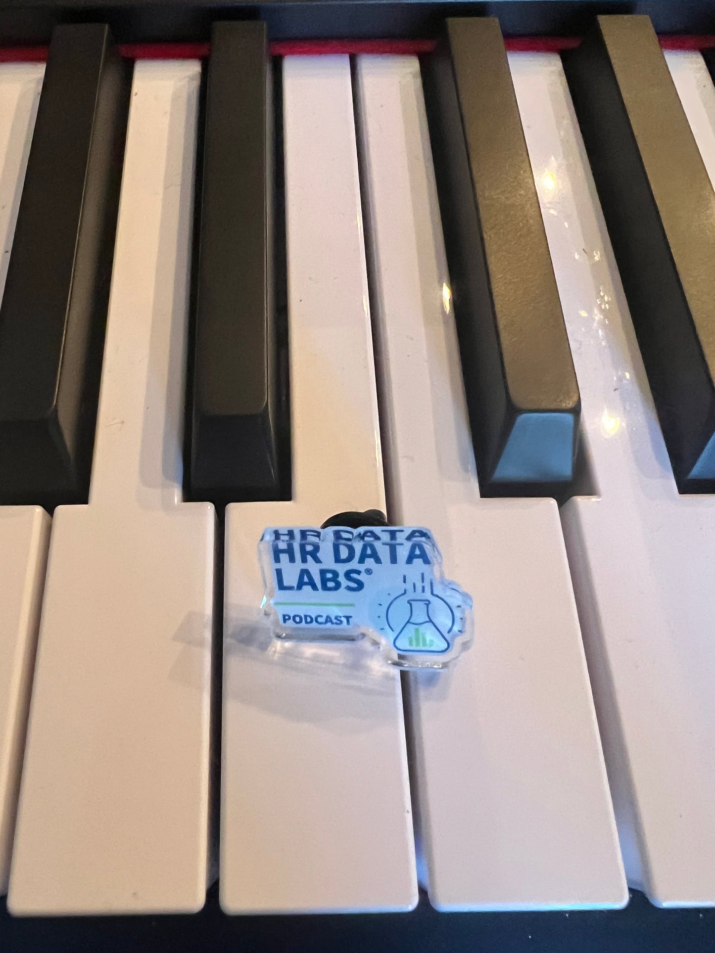 HR Data Labs Lapel Pin