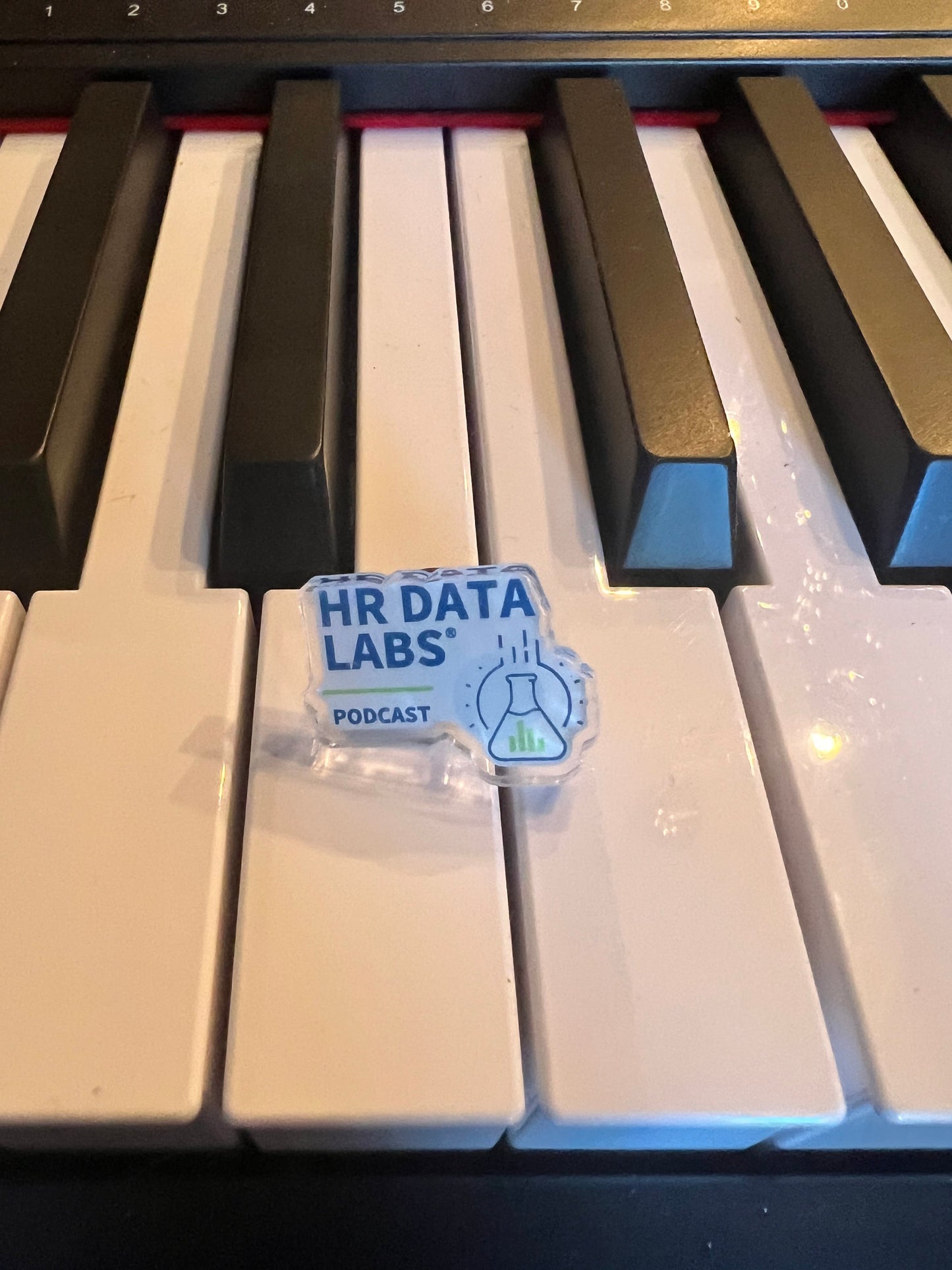 HR Data Labs Lapel Pin